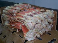 Sell Frozen Snow Crab Clusters / Snow Crab Legs (Chionoecetes opilio)