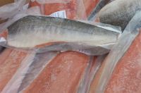 Sell Frozen Atlantic Salmon Fillet  With Skin & Without Skin