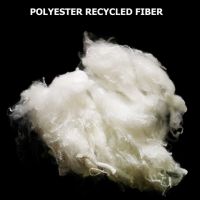 Available : Polyester Waste