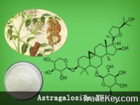 Astragaloside IV 0.3%-98% min (HPLC-ELSD) from stock in hot sell