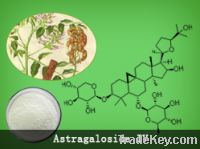 Astragalus Extract(Astragaloside IV 98%-0.3%) from stock