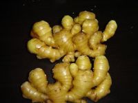 sell chinese ginger of topquality at resonable price