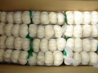 garlic of top quality from china