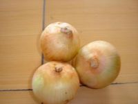 Sell fresh onion