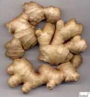 Sell garlic(product);ginger;onion;potato