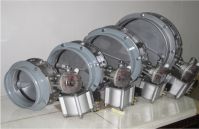 Butterfly Valve