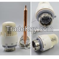 china manufacturer supply capillary thermostat