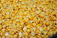 Buy Best Quality chana Dal