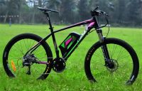 Fyrlyt 250W mid -drive e-bicycle e-MTB