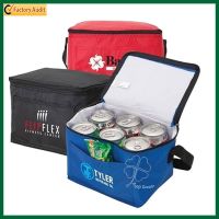 6 Cans Insulated Beer Can Lunch Cooler Bag (TP-CB220)