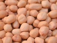Wholesale Peanuts