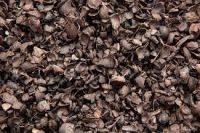 Palm Kernel Shell (PKS) from Africa