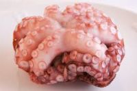 Hot Sale Fresh Frozen Octopus Big size