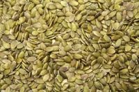 Organic GWS pumpkin seeds suppliers