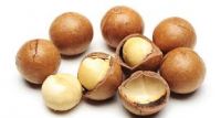Shelled Macadamia nuts price/ bulk MacadamiaMacadamia Nut Kernels Macadamia For Sale