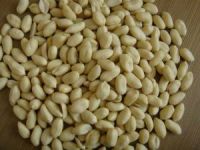 blanched peanut kernel 25/29, cheap factory price for sale