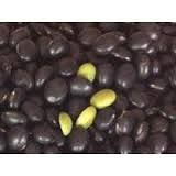 Big Black bean/black soya bean/black soybean with green kernel