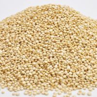 100% PURE PREMIUM ORGANIC QUINOA FOR SELL