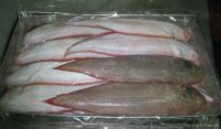 FROZEN SOLE FISH, FRESH SOLE , TONGUE SOLE FISH