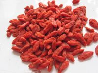 Dried goji berry best price