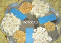 Yellow Popcorn Kernel for sale