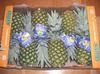 FRESH PINEAPPLES FROM AFRICA