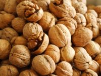 Inshell Walnuts, good price.