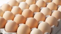 Farm Fresh Chicken Brown & White Table Eggs for Sale