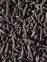 Sugar beet pulp in pellets