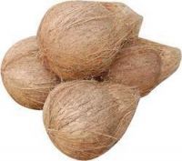 Fresh Indian Semi Husked Coconut