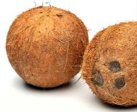 Fresh Indian Husked Coconut