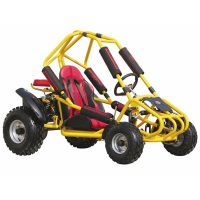 Sell 110CC Buggy/Go cart