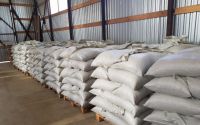 BEST QUALITY WOOD PELLETS AT MARKET PRICE