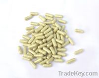 Sell Pure Hoodia Gordonii 700 Capsules Bulk