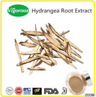 Hydrangea root extract/Dichroa febrifuga lour powder/High quality hydrangea root extract powder 10:1