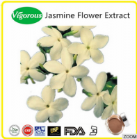 Hot seller jasmine flower extract/Jasminum officinale powder/High quality jasmine flower extract powder 12:1