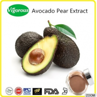 High quality avocado pear extract/Persea gratissima extract/Natural avocado extarct powder