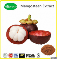 Free sample Mangosteen Extract Powder / 10%-40%Mangostin Mangosteen Extract Powder