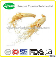 top quality ginseng extract / 100% natural ginseng root extract / competitive price panax ginseng extract