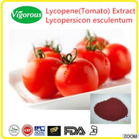 Natural Lycopene(Tomato) Extract/5%-20%Lycopene Lycopene(Tomato) Extract