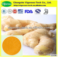 High quality 5% gingerol ginger oleoresin extract powder