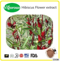 Natural hibiscus flower extarct/Hibiscus sabdariffa L. powder/High quality hibiscus flower extarct powder
