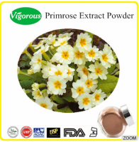 Manufacturer supply primrose extract/Primula vulgaris powder/High quality primrose extract powder 10:1