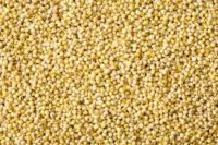 Red Millet, Yellow Millet, White Millet