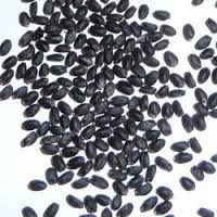 Tukmaria Seeds (Basil Seeds)