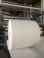 Spunbonded polyester mat