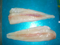 Frozen Alaska Pollock Fillets