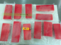 Frozen Tuna Fillet