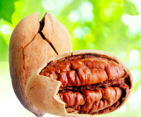 Pecan nuts