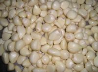 Pure Fresh White Garlic for Sale